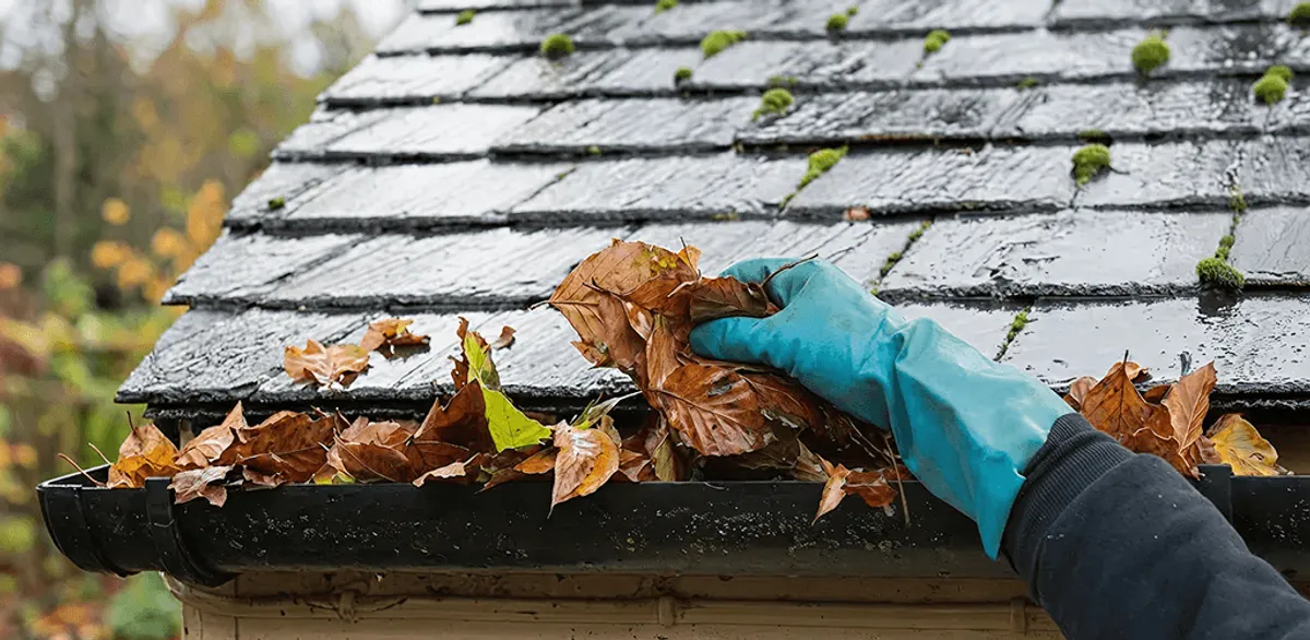 Gutter cleaning technician clearing wet leaves from roof gutters in Raleigh, NC
